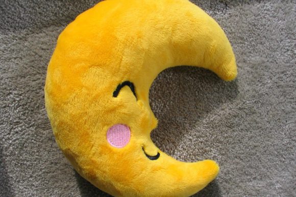 Moon in the Hoop: A Craft Fair Embroidery Review